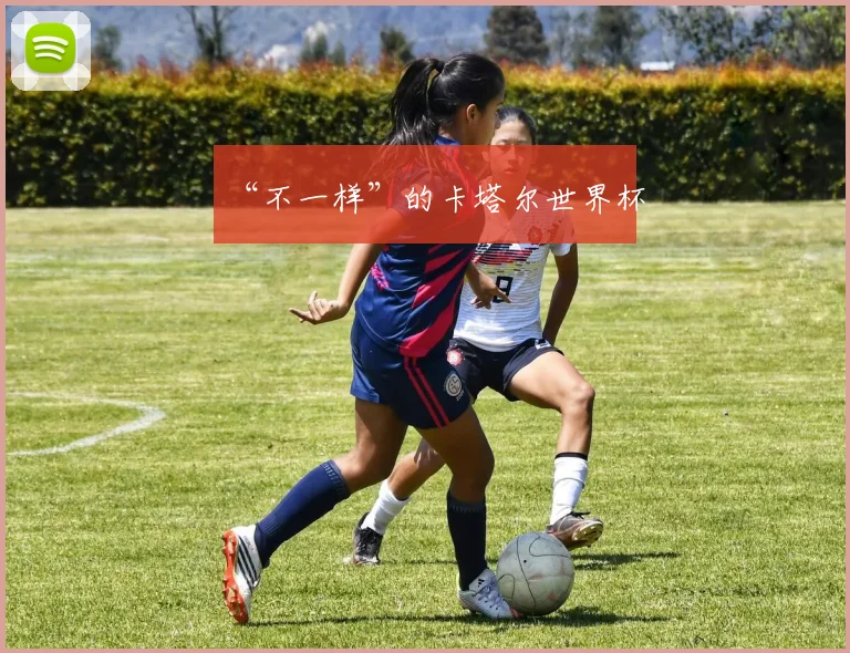 “不一样”的卡塔尔世界杯