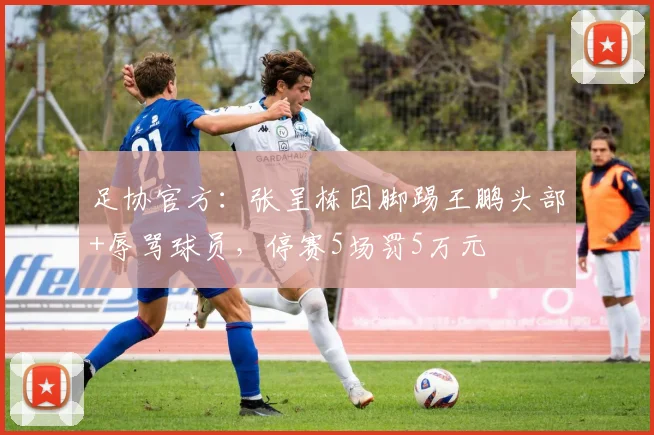 足协官方：张呈栋因脚踢王鹏头部+辱骂球员，停赛5场罚5万元