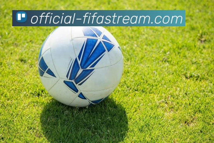 世界杯官方直播平台生态图